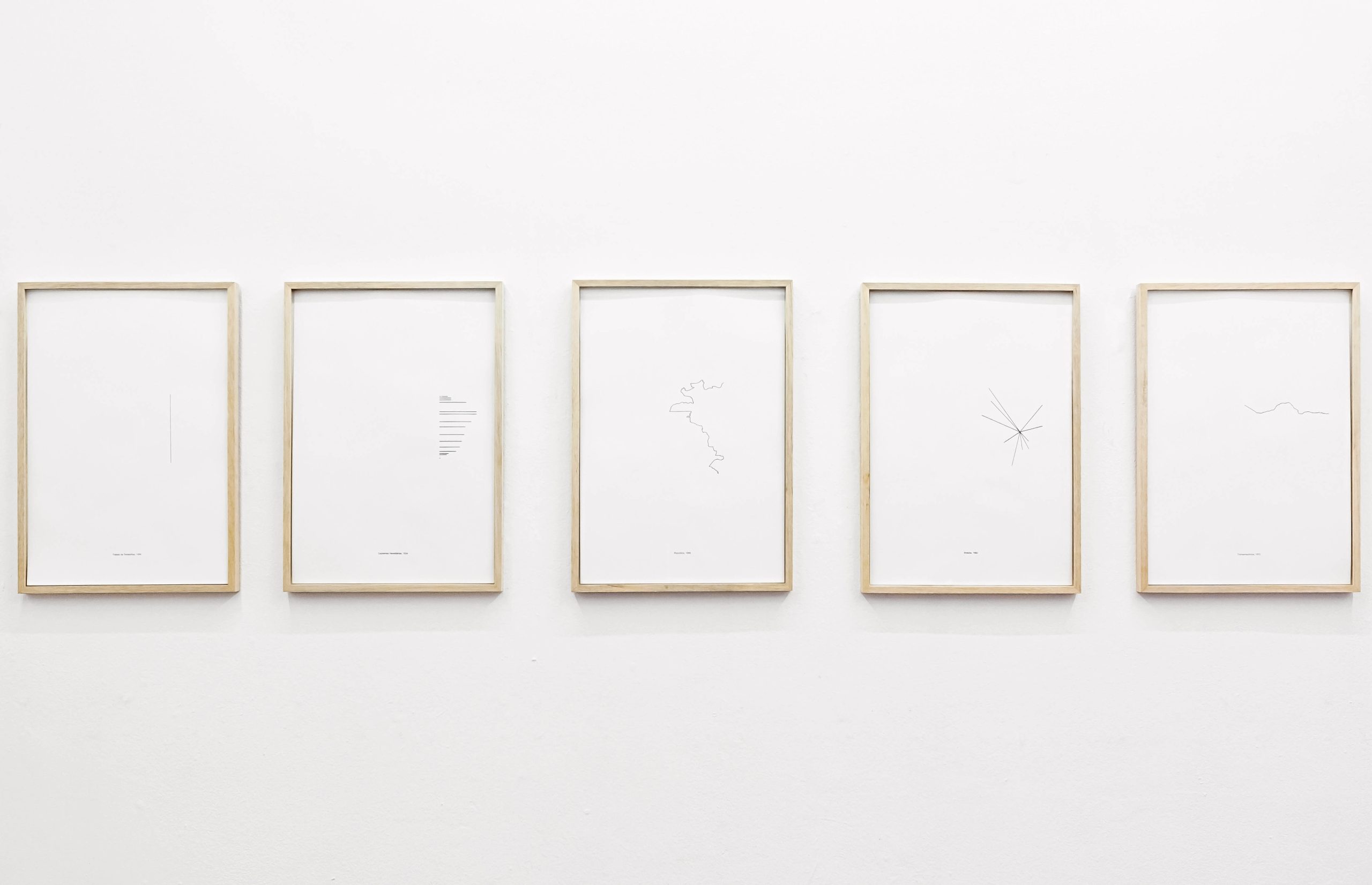 Lines, 2013