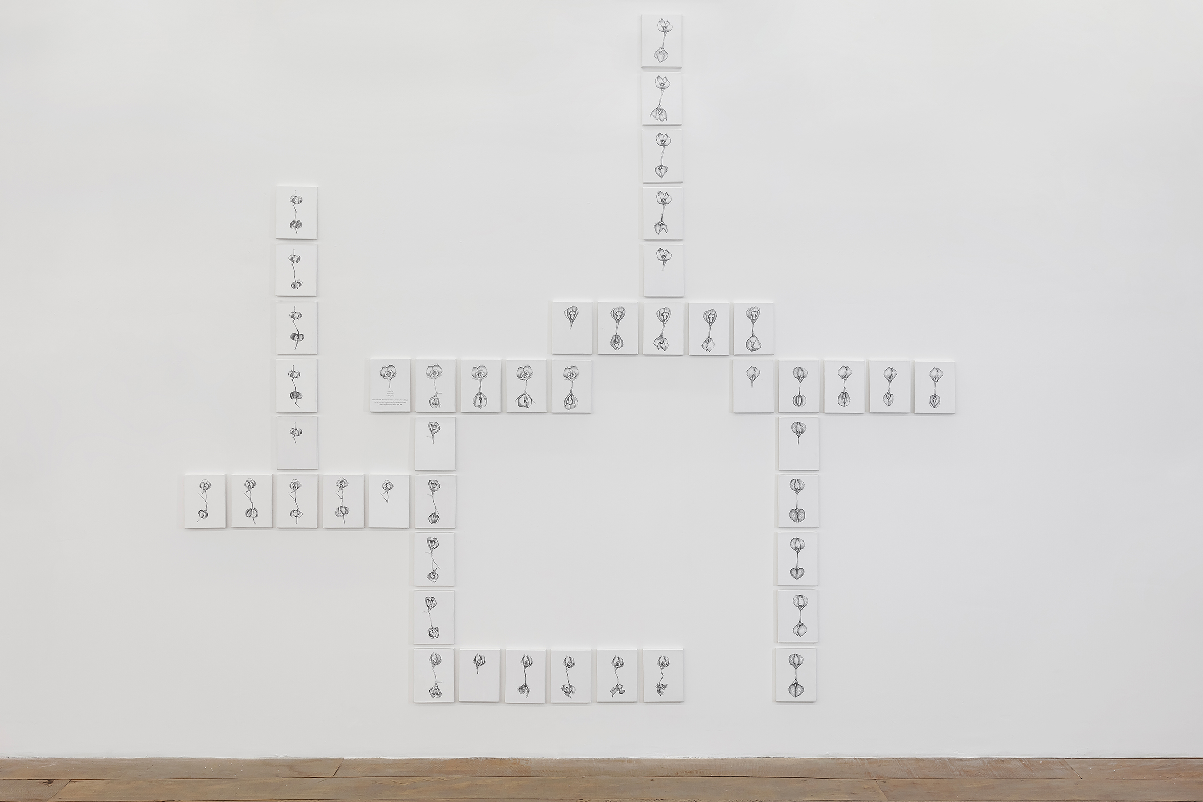 Union (Sindicate), 2024