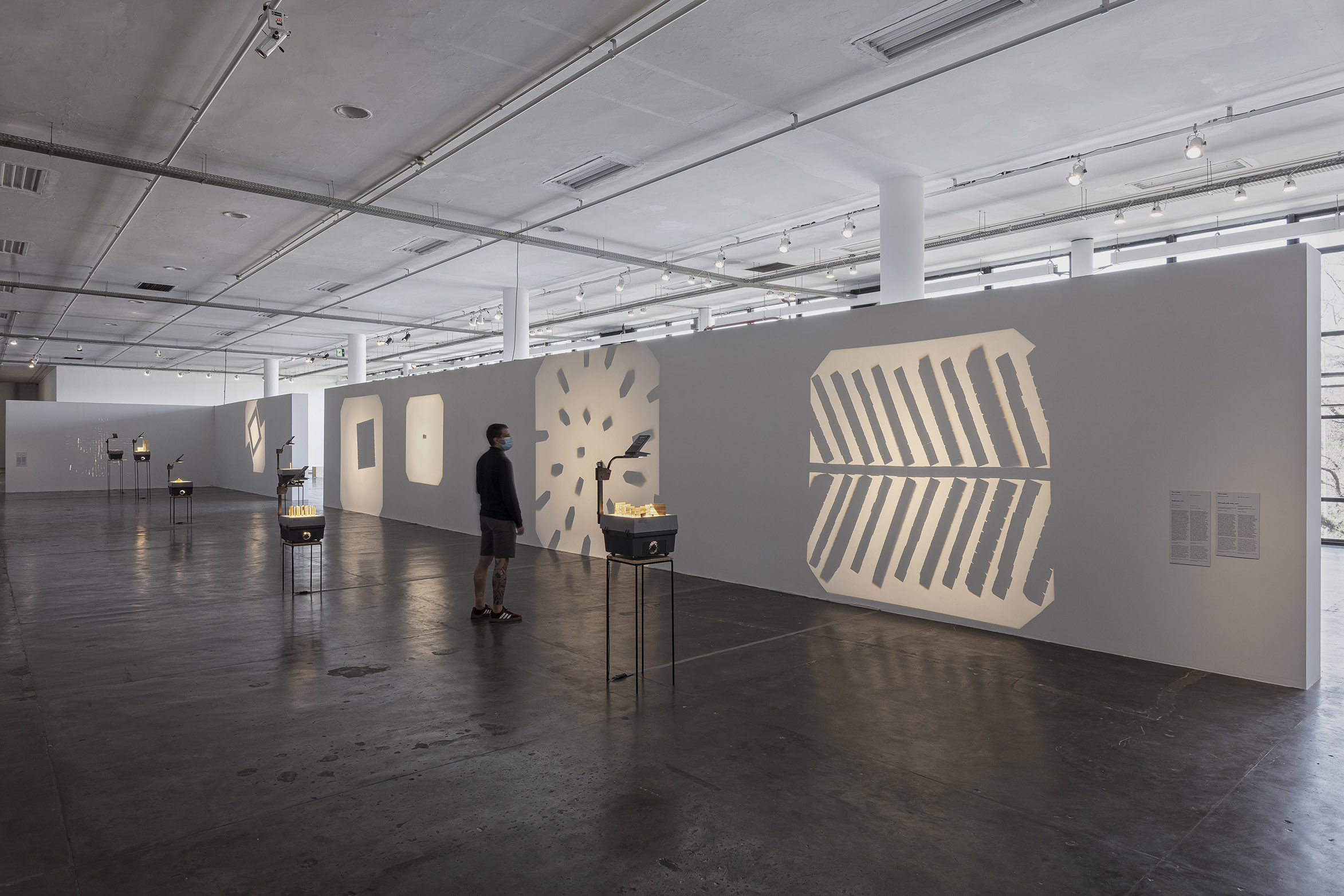 Education by Night, 2020